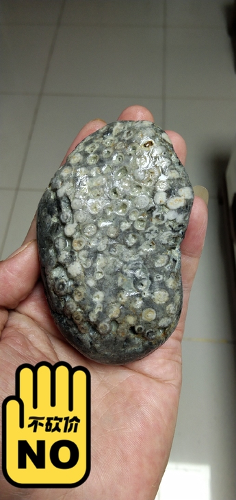 珊瑚化石,可当小摆件。