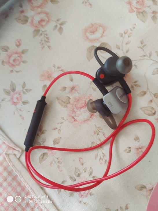 魅族蓝牙耳机。朋友送的。具体什么型号不太清...