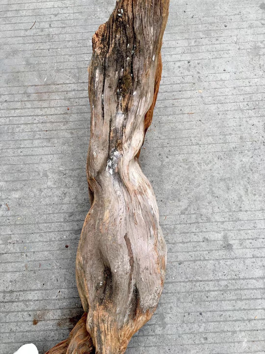 崖柏骨料牛肉丝料质 皮色干净  14.8斤