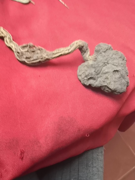 闲置物品像个灵芝木质藤质的搞不清楚保邮