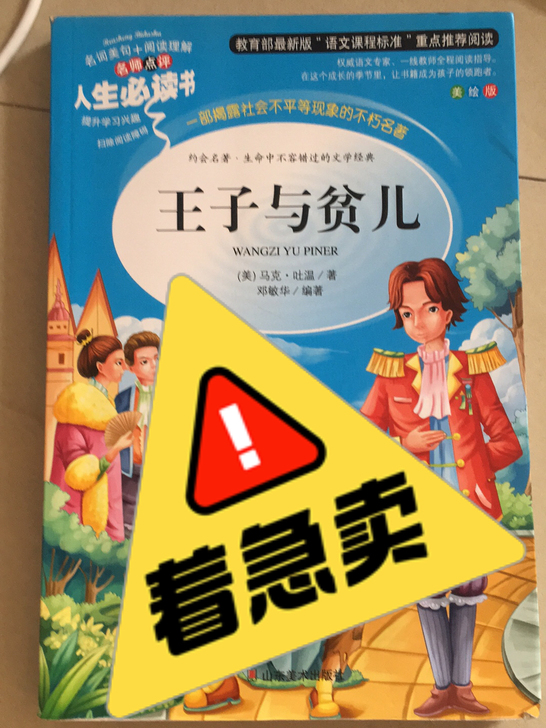 王子与贫儿 重点推荐阅读 可小刀
