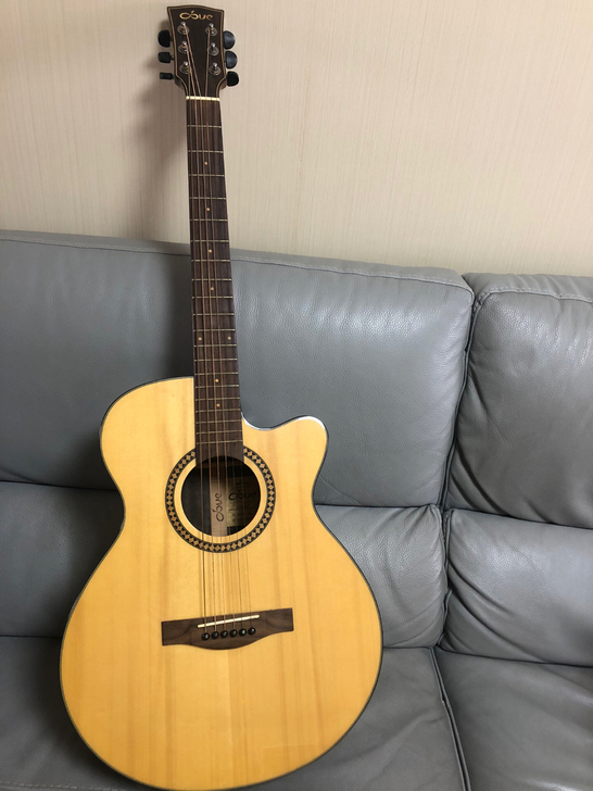 dove鸽子牌吉他，Dl 260C ，40...