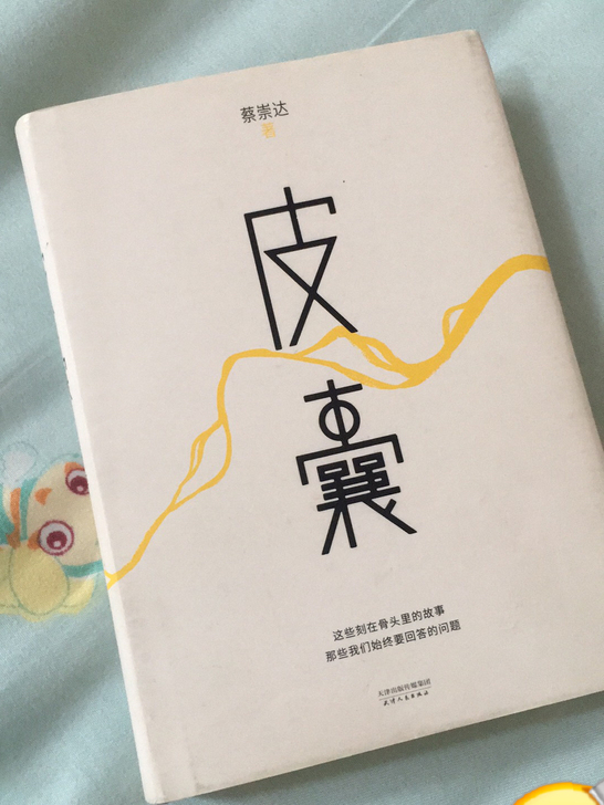 蔡崇达《皮囊》