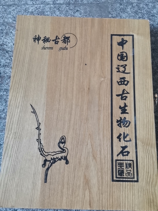 中国辽西古生物鱼化石标本礼盒，木盒，