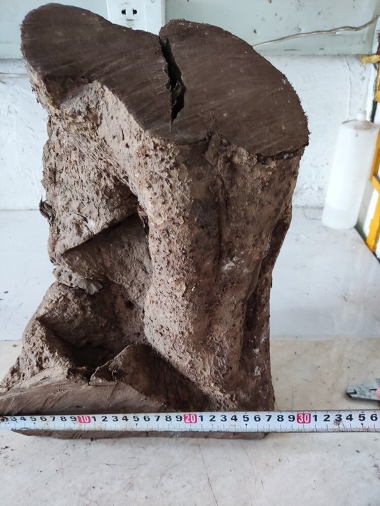 t49金丝楠木小叶桢楠摆件料重15斤