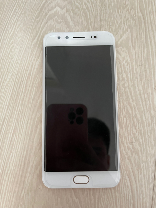 vivo X9,女士一手