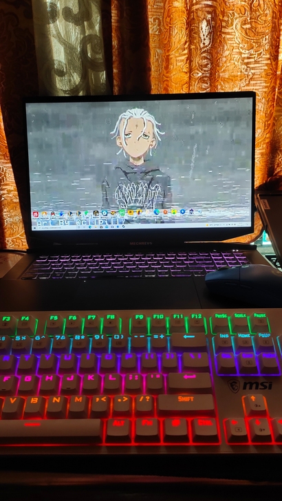 机械革命肽坦plus，i7－10875H，...