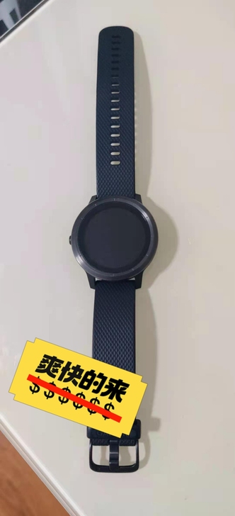 Garmin/佳明