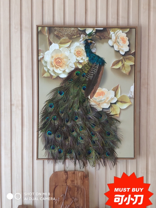 孔雀羽毛制品,挂画,壁画。