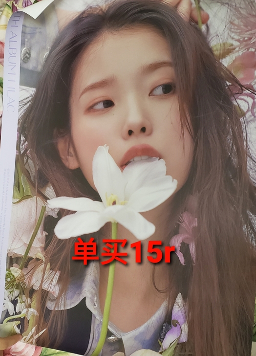 iu海报 全新无暇