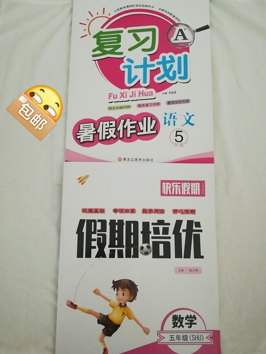 暑假衔接假期培优衔接复习计划暑假作业 一三...