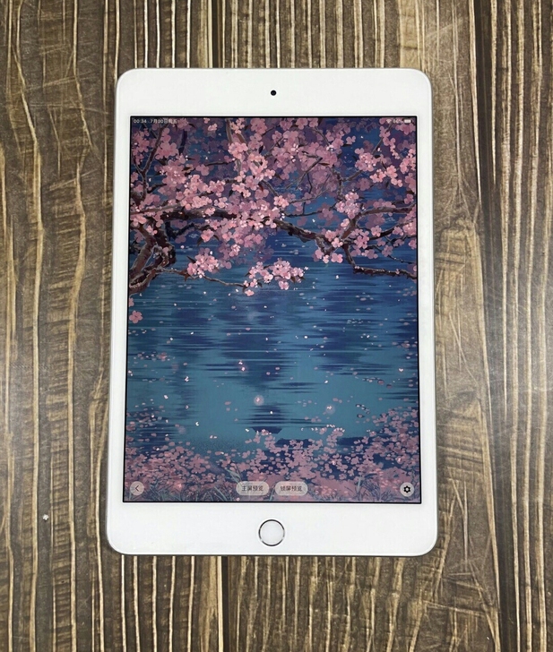 闲置转让原装苹果平板 ipad mni5 ...