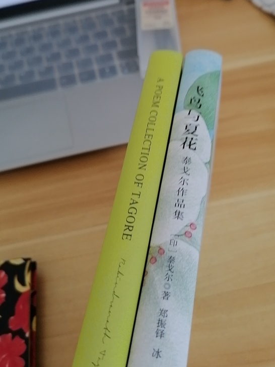 飞鸟与夏花（泰戈尔作品集）