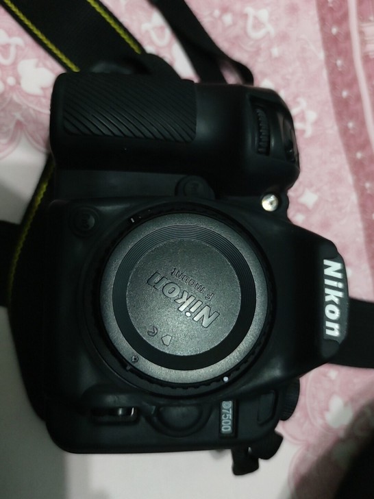 尼康D7500单机