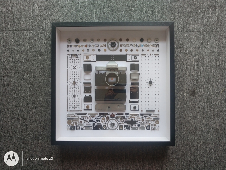 海鸥DF-1相机装裱