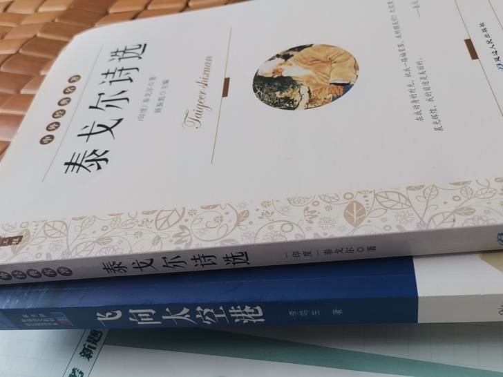 正规书籍，几乎全新，孩子假期推荐，两本30...