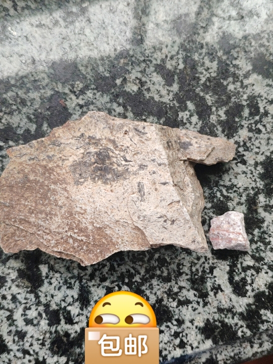 一块从矿场上开辟下来的化石。