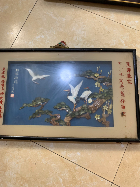 789老贝壳挂画128元包邮