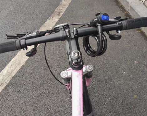 本来打算出行方便买的 后来上学了骑的时间很...