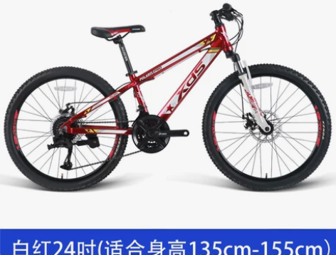 喜德盛青少年自行车北极星20/22/24吋...