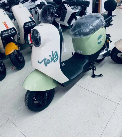 新国标电动自行车，台铃，可上白牌，电池可用...