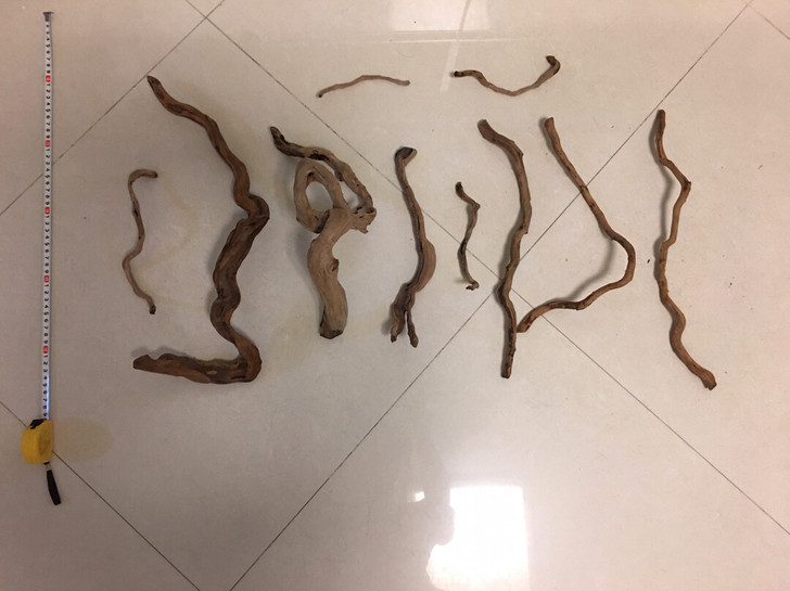 闲置杜鹃根素材组