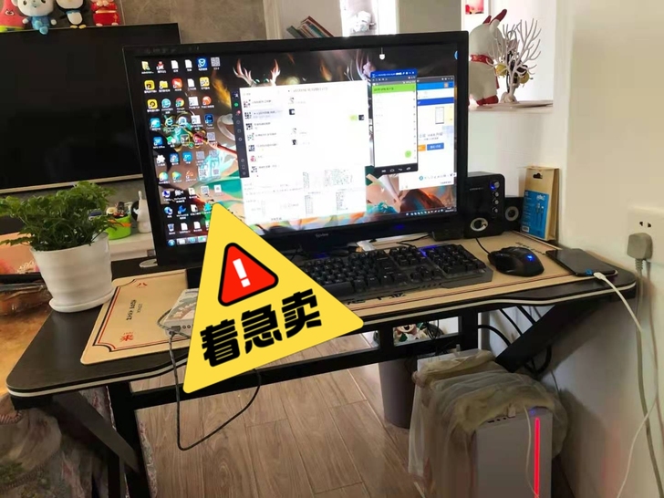 公司倒闭几十台公司独显电脑低价处理办公电脑...