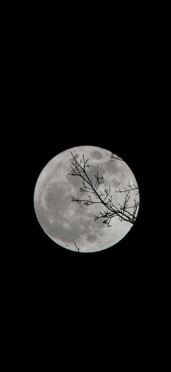 一分可爱壁纸0.01元买壁纸小清新好看的壁纸