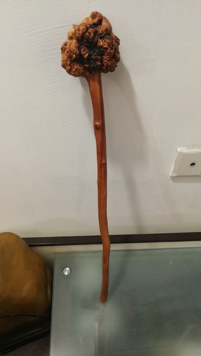 闲置物品树如意把件天然植物