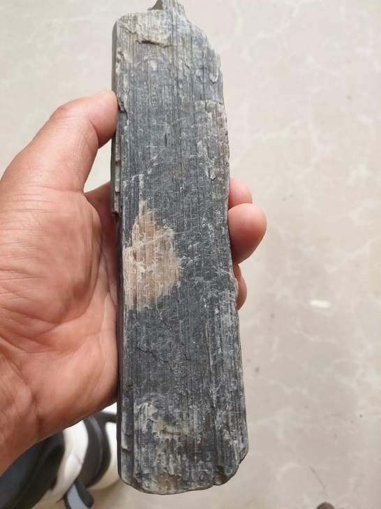 616克，黑龙江东北的玉石树变的化石