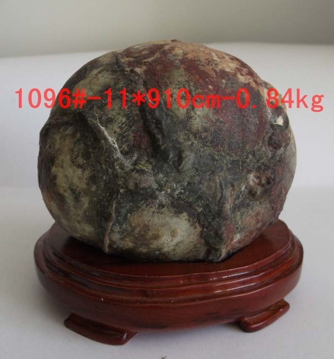 非常漂亮的植物果子化石