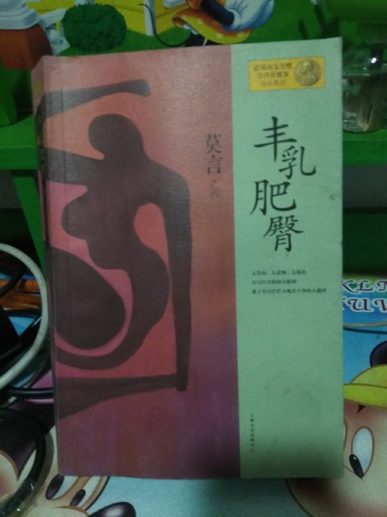 莫言作品《丰乳肥臀》