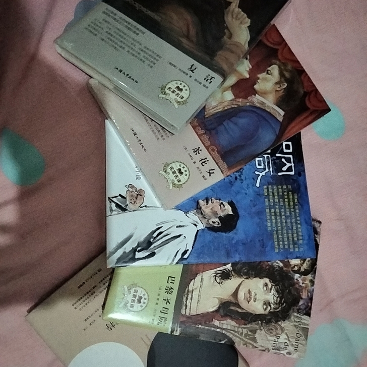 全新书籍包装未撕 均为世界名著 书店购入