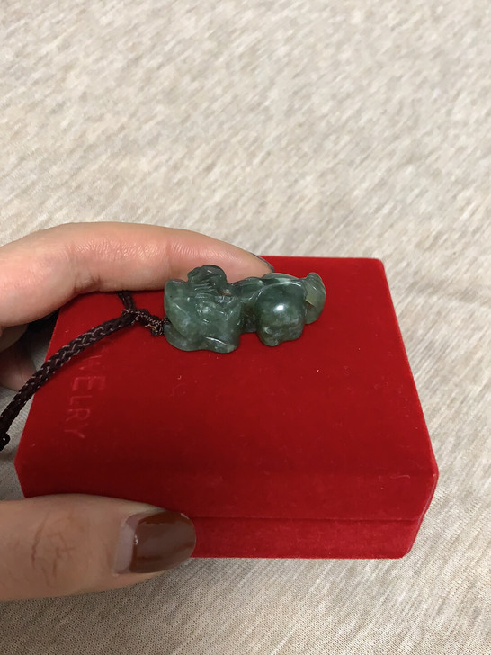 貔貅项链，招财进宝，不退不换