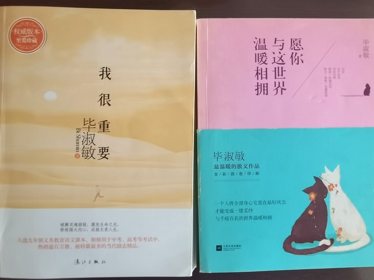 毕淑敏散文