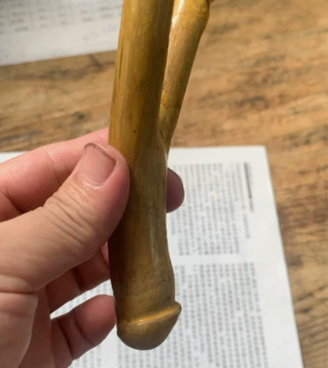 此乃神弹弓!传说当时后羿射日时先用此神弓打...