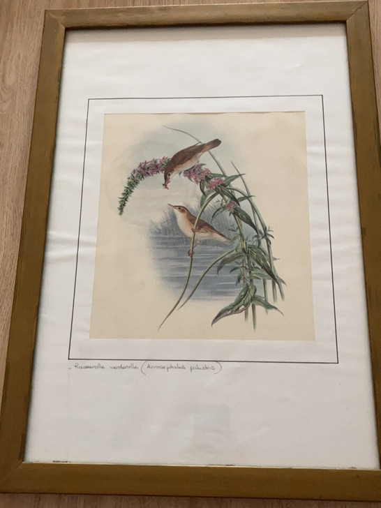 9成新装饰画，尺寸：40.5x56.5cm