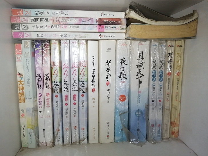青春文学小说，随缘出