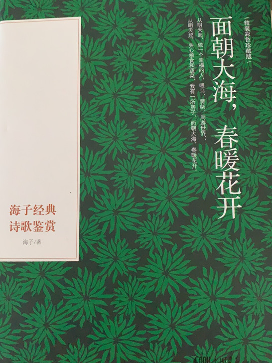 文学书籍
