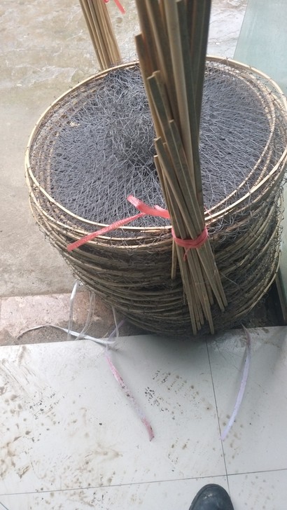 花篮上市了黑鱼蓝,鲫鱼蓝,红鱼鲤鱼蓝,全手...