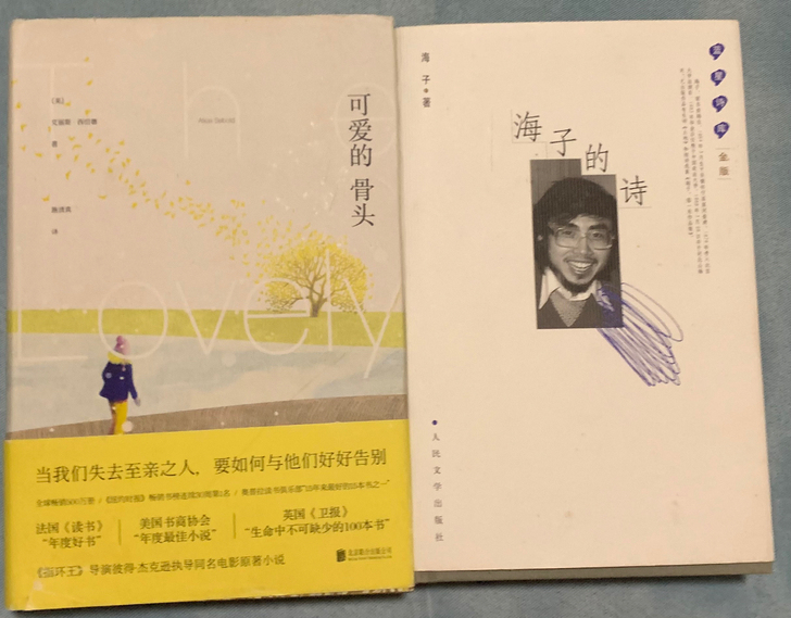 海子的诗，人民文学出版社，全新。