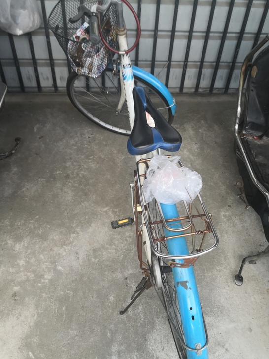 凤凰自行车，新换没多久轮胎