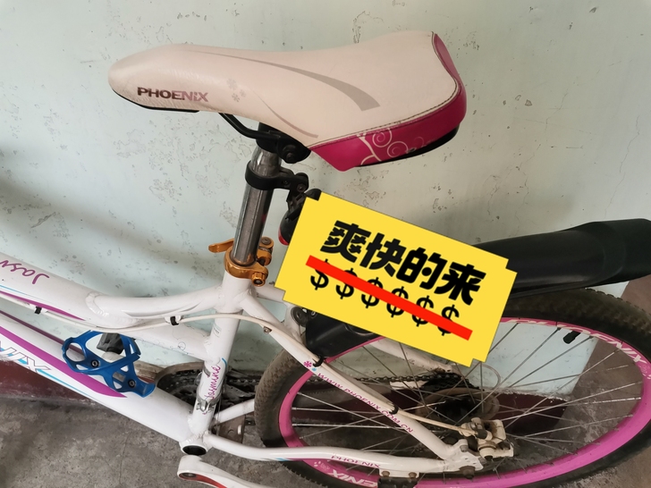 品牌型号 ：凤凰