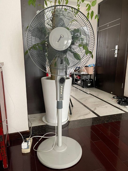 美的摇头风扇，50元，白菜价，不会安排快递...