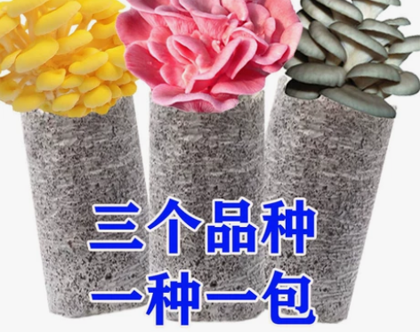 3包混装蘑菇种植包平菇菌包种蘑菇食用菌菌种...