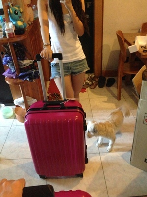 ito拉杆箱旅行箱特价包邮正品いとう行李箱...