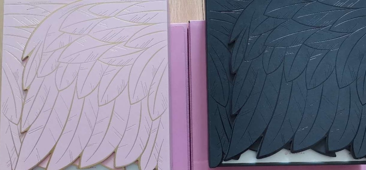 仙境传说RO 众筹 原画 白翅膀 黑翅膀 ...