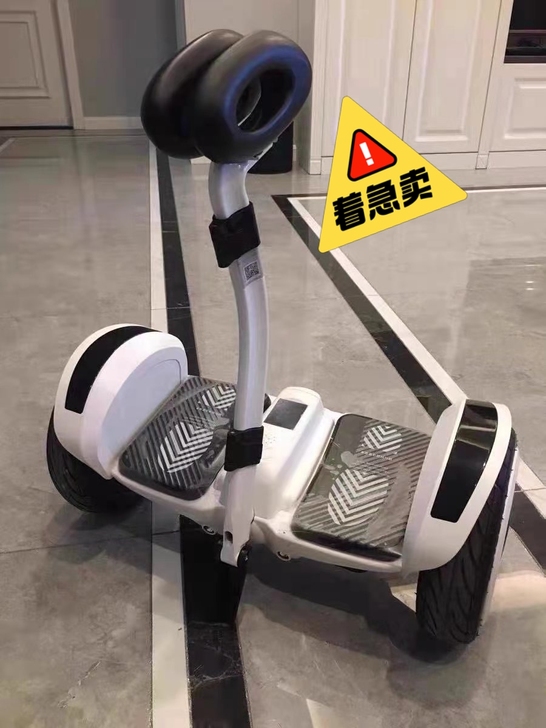 领奥平衡车，电压54V越野版白色、##am...