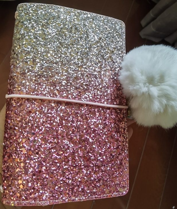 lovedokiTN手帐日记本记事本