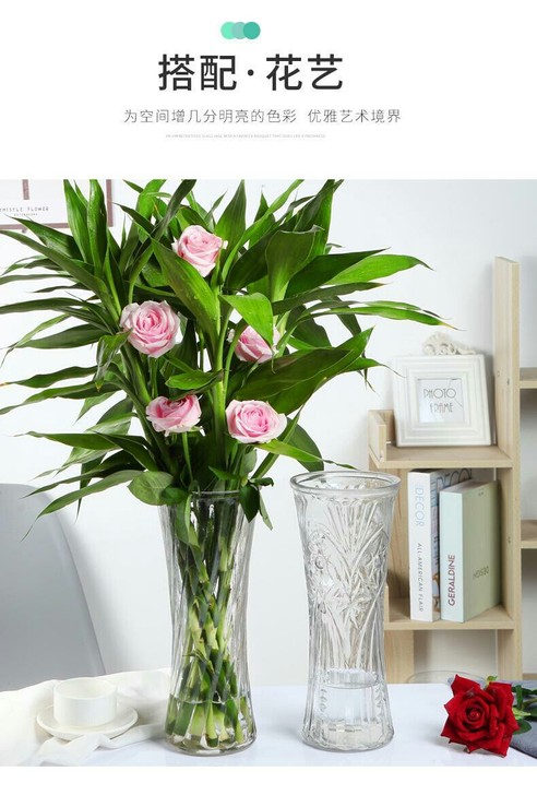【清仓】特大号玻璃花瓶透明水养水竹富贵竹百...